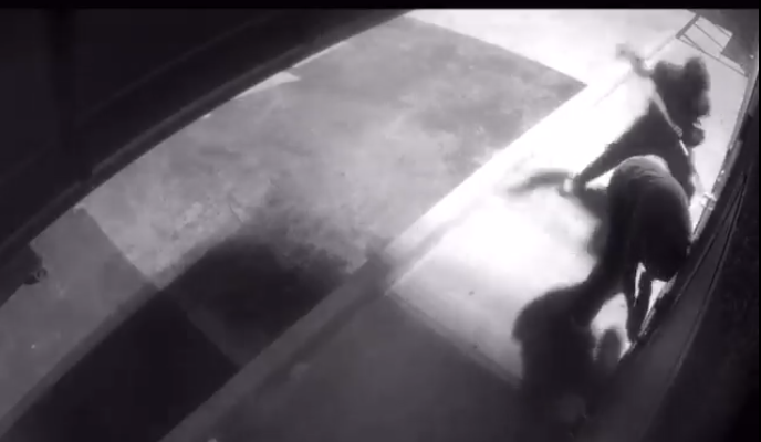 Thiefs trying to break in